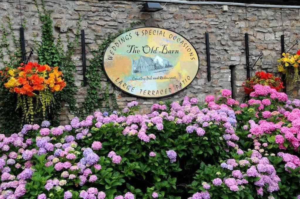The Old Barn Inn 뉴포트 외부 사진